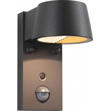 Paulmann 94714 - LED/6W IP44 Уличный настенный светильник с датчиком CAPERA 230V 2200/3000K