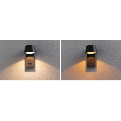 Paulmann 94714 - LED/6W IP44 Вуличний настінний світильник з датчиком CAPERA 230V 2200/3000K