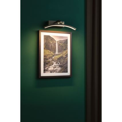 Paulmann 95559 - LED-подсветка для картин BENTO, 6 Вт, 230 В, 30 см, латунь