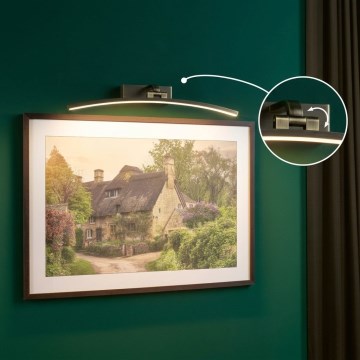 Paulmann 95561 - LED/10 Вт підсвітка для картин BENTO 230 В 50 см латунь