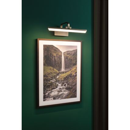Paulmann 95569 - LED/9,5W Настінний світильник для картин RENAN 230V 40 cm латунь
