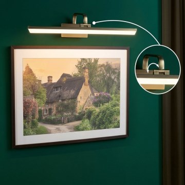 Paulmann 95570 - LED/11W Светильник для картин RENAN 230V 60 cm латунь