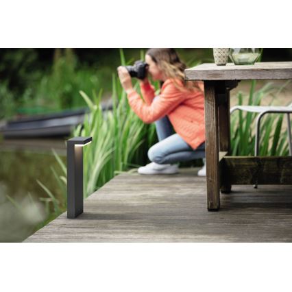 Philips - Вулична світлодіодна лампа 2xLED/4,5W/230V 2700K IP44