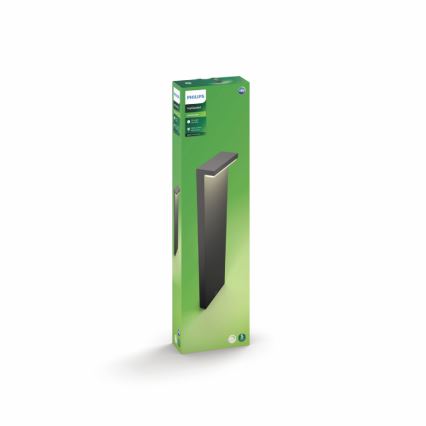 Philips - Вулична світлодіодна лампа 2xLED/4,5W/230V 2700K IP44