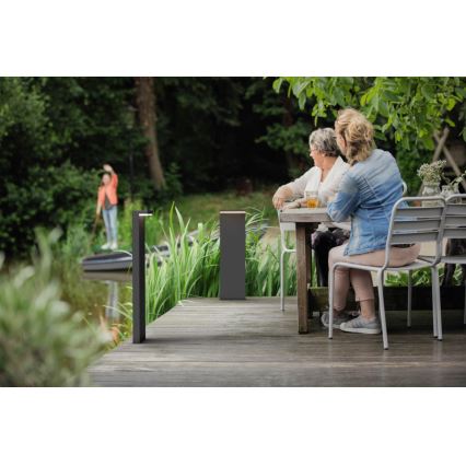 Philips - Вулична світлодіодна лампа 2xLED/4,5W/230V 2700K IP44