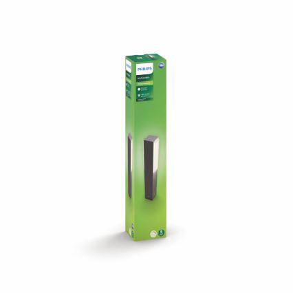 Philips - Уличный светильник на стойке 2xLED/4,5W IP44