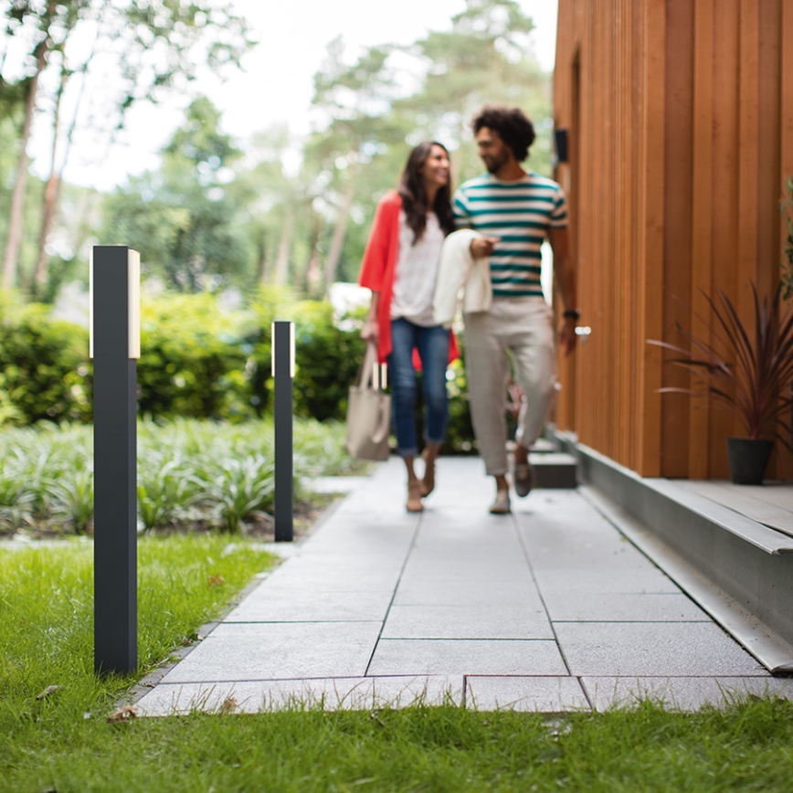 Philips - Вулична світлодіодна лампа 2xLED/4,5W/230V IP44