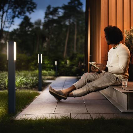 Philips - Вулична світлодіодна лампа 2xLED/4,5W/230V IP44