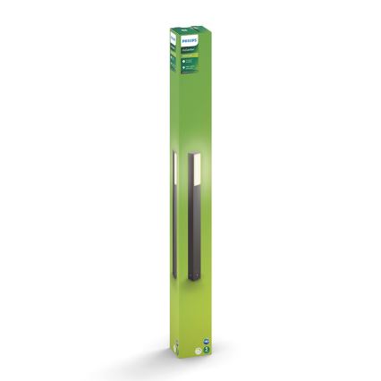 Philips - Вулична світлодіодна лампа 2xLED/4,5W/230V IP44