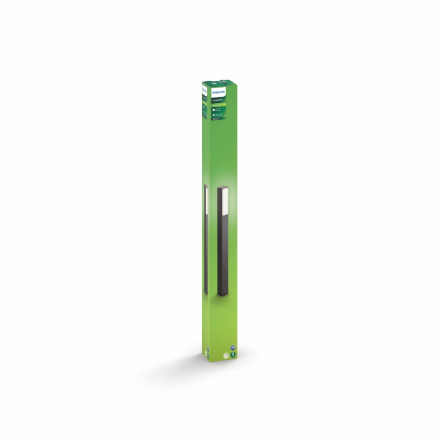 Philips - Вуличний світильник підлоговий 2xLED/4,5W IP44