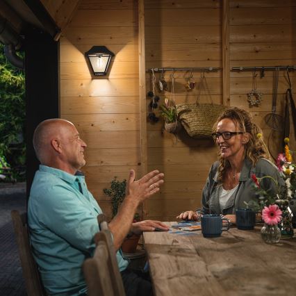 Philips 16494/30/PN - Уличный настенный светильник MYGARDEN ALPENGLOW E27/42W IP44