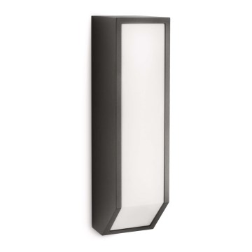 Philips 16932/93/16 - Уличный настенный светильник MYGARDEN FEATHER 1xE27/23W/230V IP44