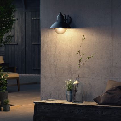 Philips - Уличный светильник 1xE27/60W/230V IP44