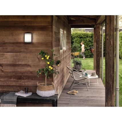 Philips - Вуличний настінний світильник 1xLED/6W/230V IP44