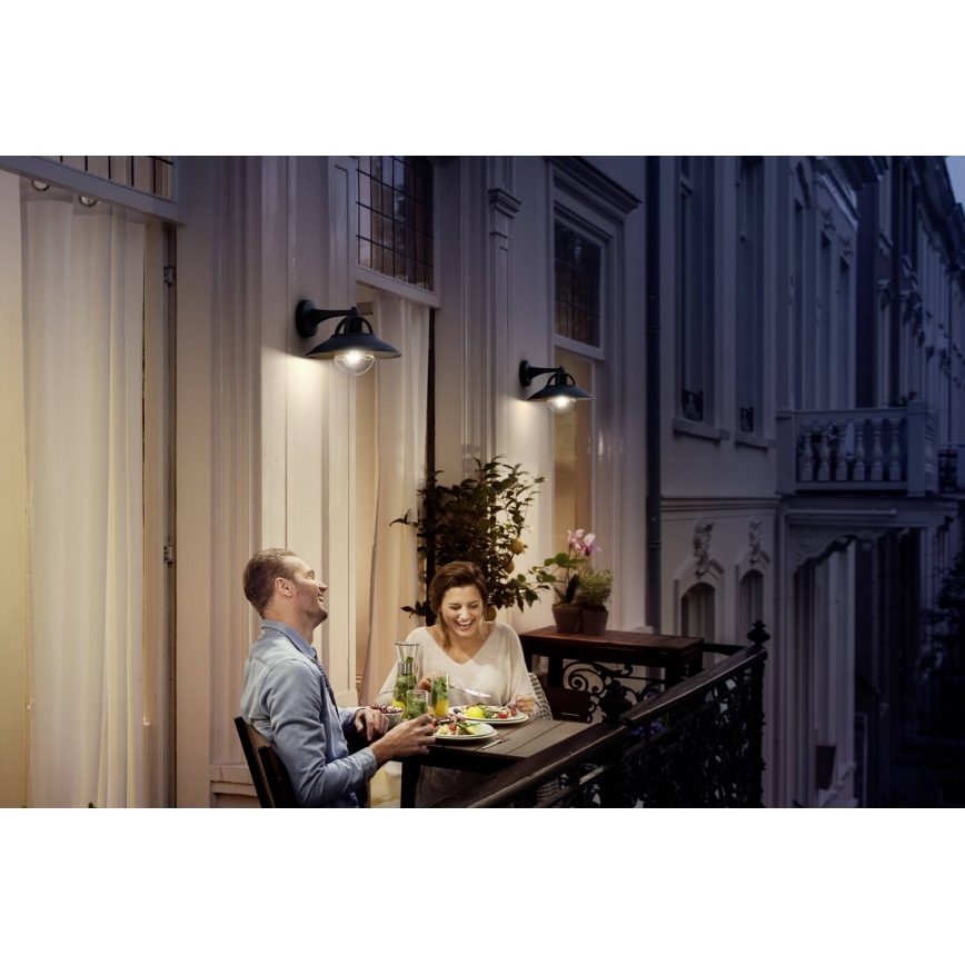 Philips 17381/30/PN - Вуличний настінний світильник COMORANT 1xE27/42W/230V IP44