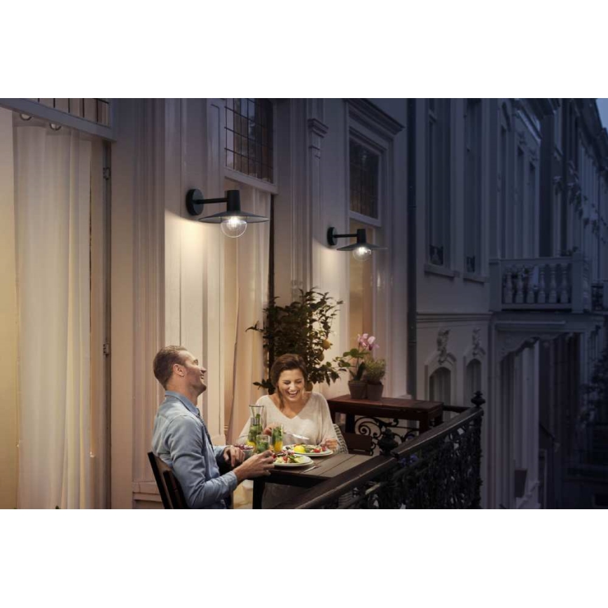 Philips - Зовнішній світильник 1xE27/42W/230V IP44
