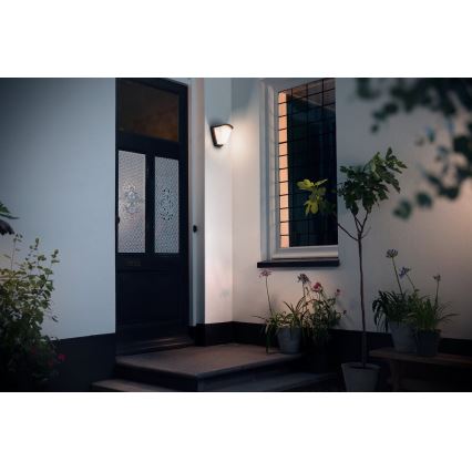 Philips 17383/93/PN - Уличный настенный светильник  KISKADEE 1xE27/42W/230V IP44