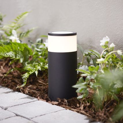 Philips - Вулична LED RGB лампа з регулюванням яскравості Hue CALLA LED/8W/24V IP65