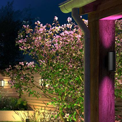 Philips - LED RGBW Вуличний настінний світильник з регулюванням яскравості Hue APPEAR 2xLED/8W/230V IP44