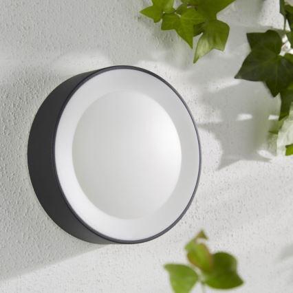 Philips - Вуличний світлодіодний настінний RGBW світильник з регулюванням яскравості Hue DAYLO LED/15W/230V 2000-6500K IP44