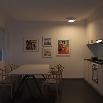 Philips - Потолочный светильник 2xE27/23W/230V