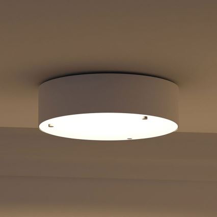 Philips - Стельовий світильник 2xE27/23W/230V