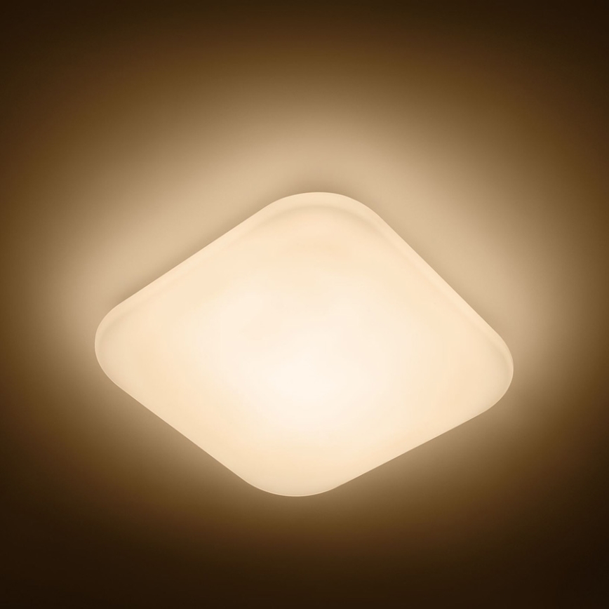 Philips - Светодиодный потолочный светильник 1xLED/17W/230V 2700K
