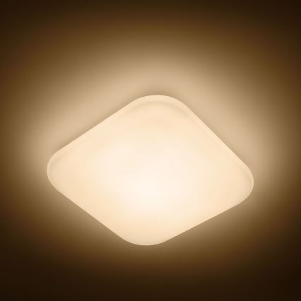 Philips - Світлодіодний стельовий світильник 1xLED/17W/230V 2700K