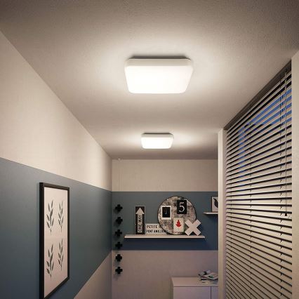 Philips - Светодиодный потолочный светильник 1xLED/17W/230V 4000K
