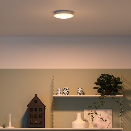 Philips - Потолочный светильник LED/10W/230V