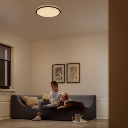 Philips - Світлодіодний стельовий світильник з регульованою яскравістю LED/18W/230V
