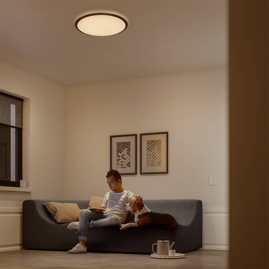 Philips - Світлодіодний стельовий світильник з регульованою яскравістю LED/18W/230V
