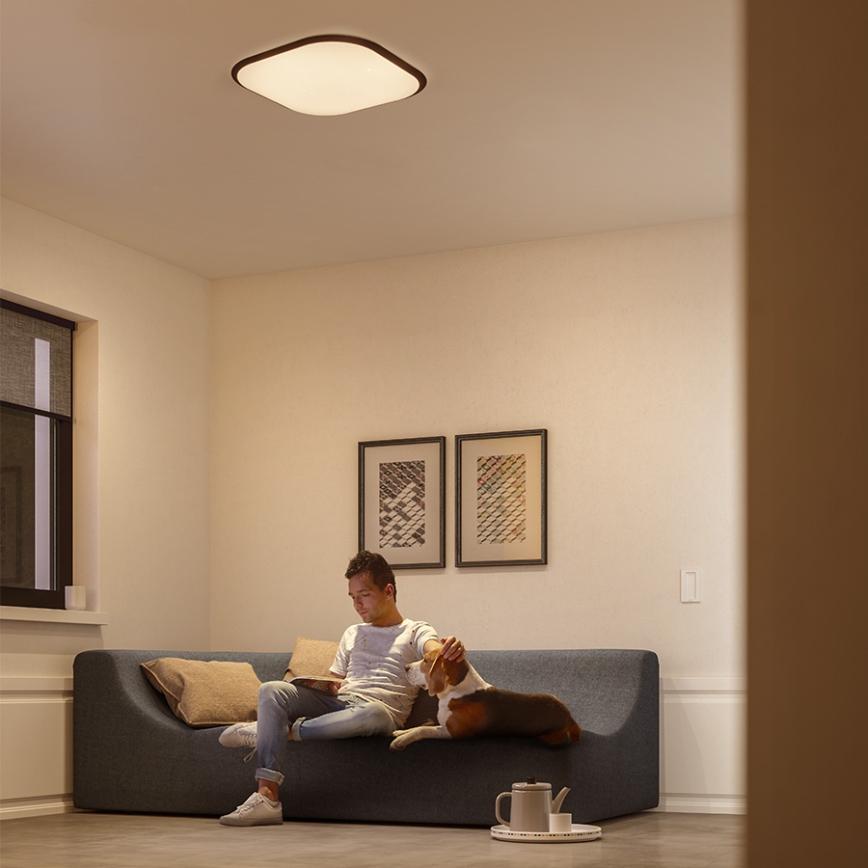 Philips - Светодиодный потолочный светильник с регулированием яркости LED/18W/230V