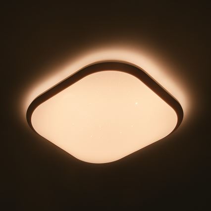 Philips - Світлодіодний стельовий світильник з регульованою яскравістю LED/18W/230V
