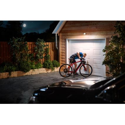 Philips 3389/41/99 - Светодиодный прожектор LED/20W/230V IP65