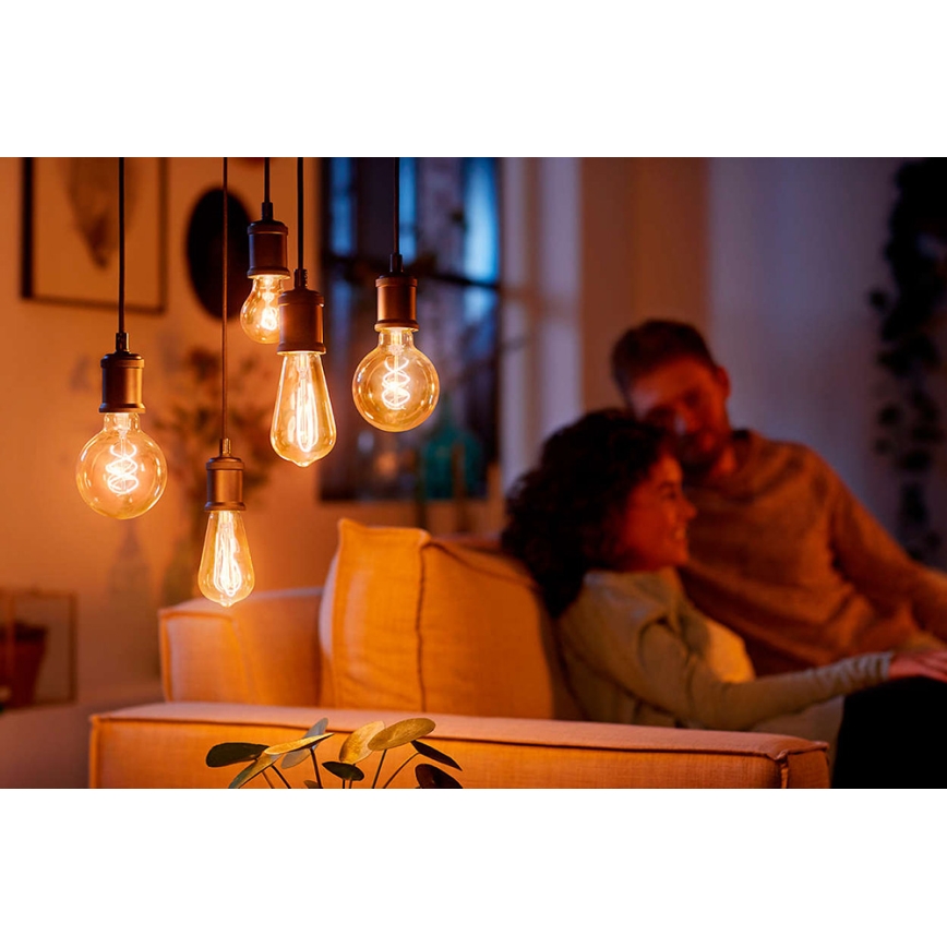 Philips - Кабель питания 1xE27/40W/230V