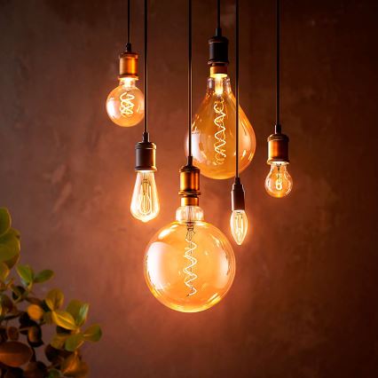 Philips - Кабель питания 1xE27/40W/230V