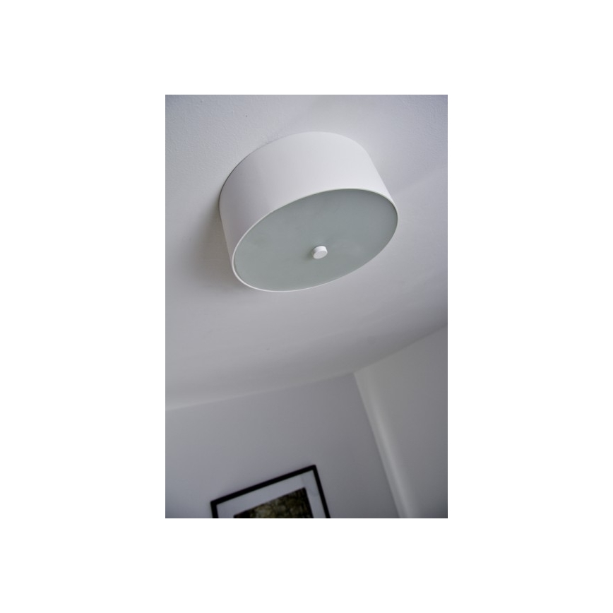 Philips 40832/31/16 - Стельовий світильник з регулюванням яскравості MYLIVING SEQUENS LED/7,5W/230V