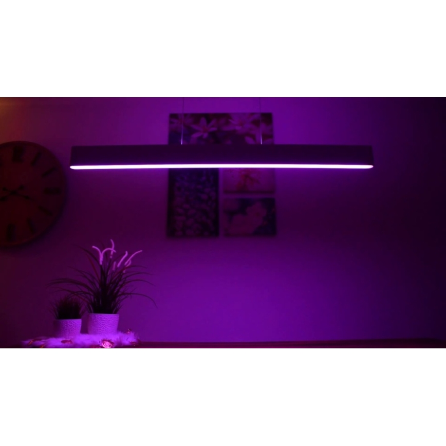 Philips -  LED RGBW Підвісна люстра з регулюванням яскравості Hue ENSIS White And Color Ambiance 2xLED/39W/230V