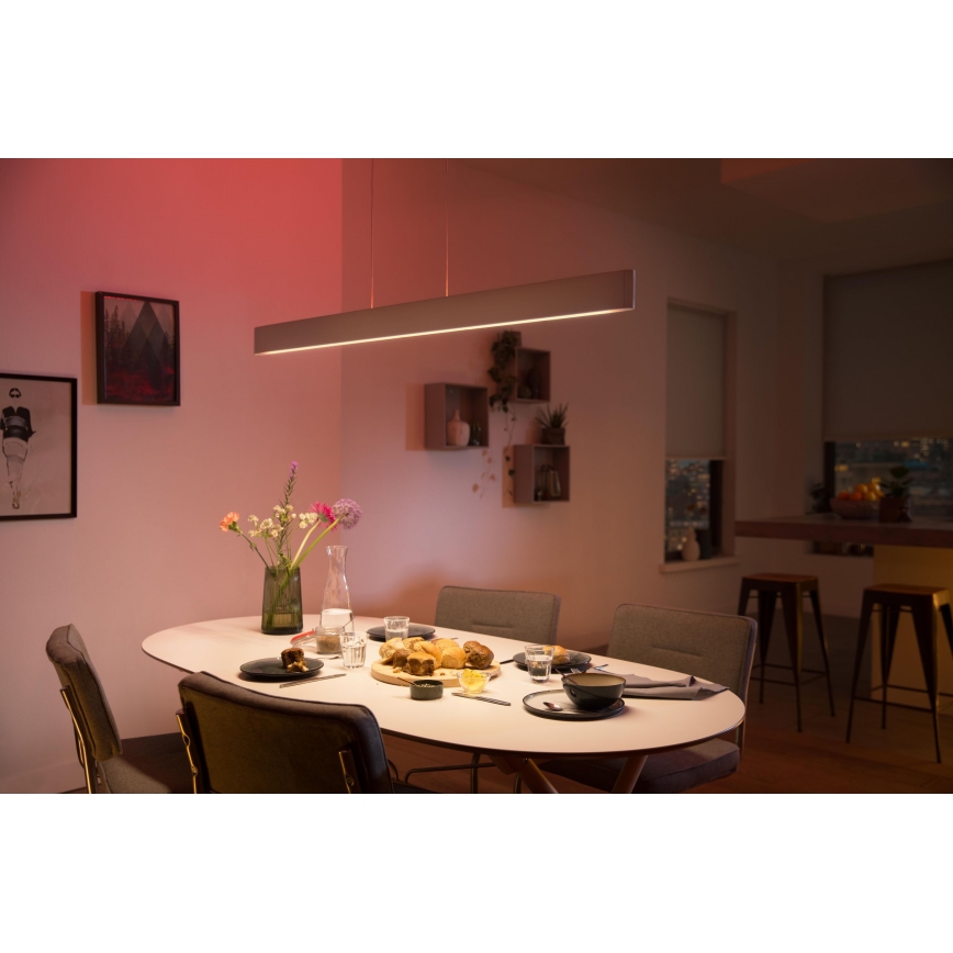 Philips - Светодиодная подвесная RGBW-люстра с регулированием яркости Hue ENSIS White And Color Ambiance 2xLED/39W/230V