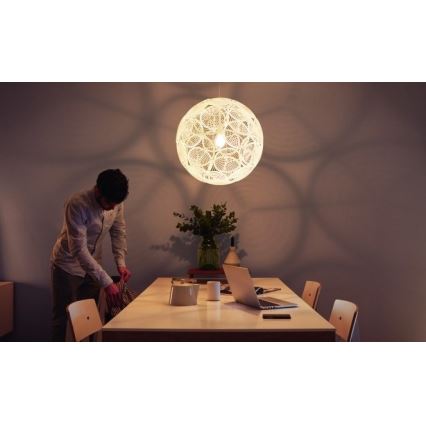 Philips - Потолочный подвесной светильник E27/60W/230V