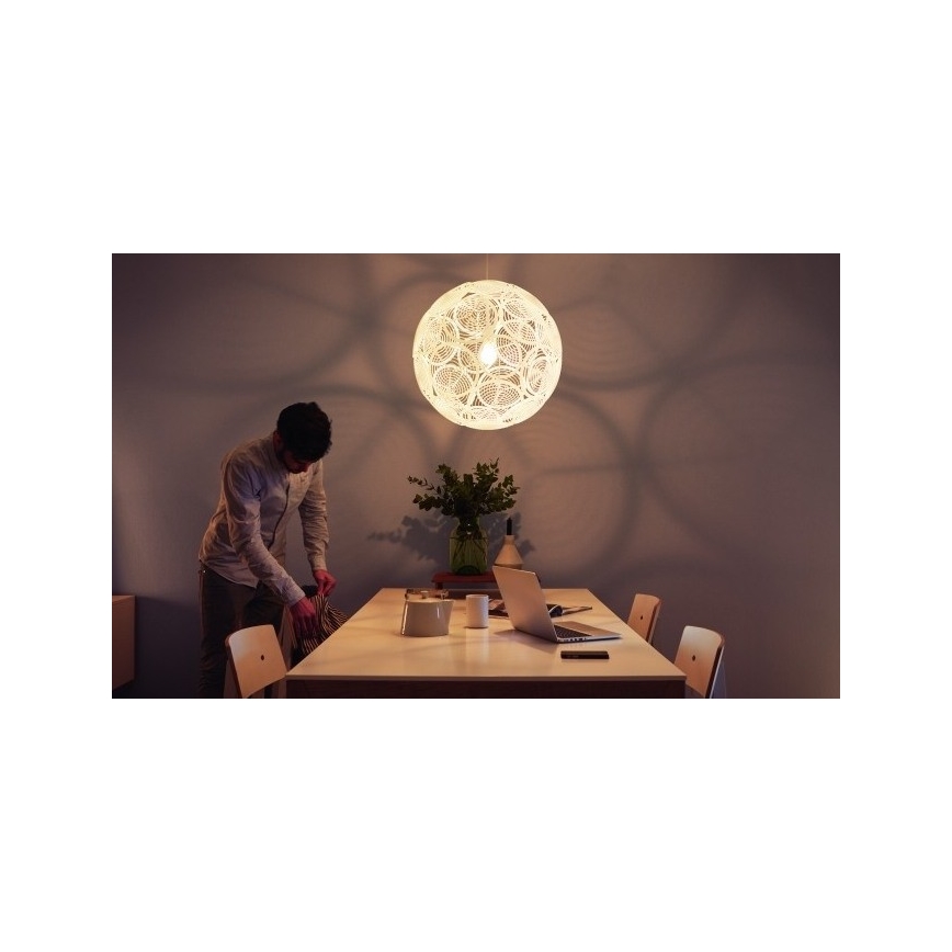 Philips - Потолочный подвесной светильник E27/60W/230V