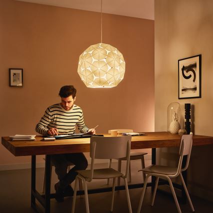 Philips - Підвісна люстра 1xE27/60W/230V