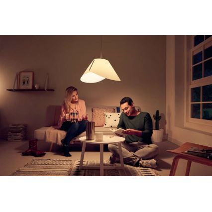 Philips - Підвісний стельовий світильник E27/60W/230V