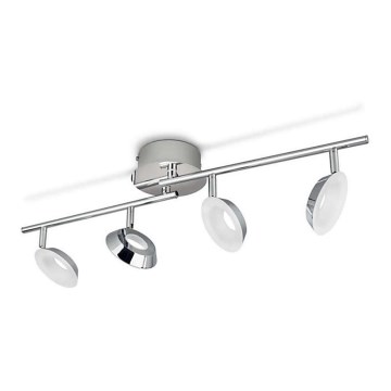 Philips 50145/11/P1 - Точковий LED світильник MACKINAW 4xLED/5W/230V