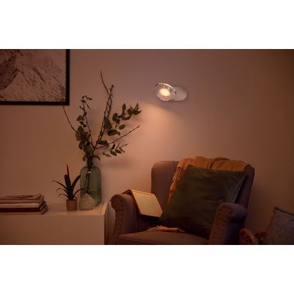 Philips - Светодиодный точечный светильник с регулированием яркости 1xLED/4,5W/230V