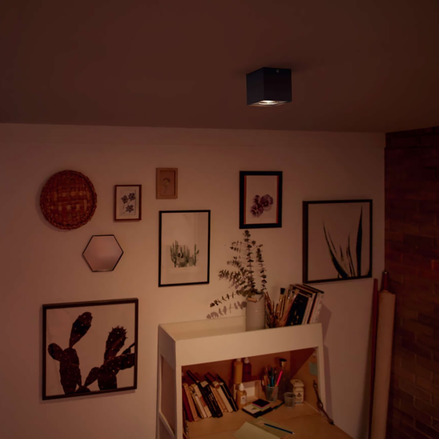 Philips - Точковий LED світильник з регулюванням яскравості 1xLED/4,5W/230V