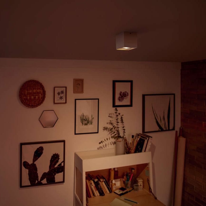 Philips - Точковий LED світильник з регулюванням яскравості 1xLED/4,5W/230V