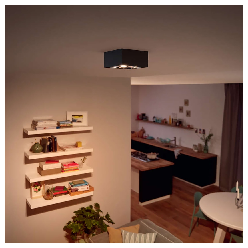 Philips - Точковий LED світильник з регулюванням яскравості 4xLED/4,5W/230V