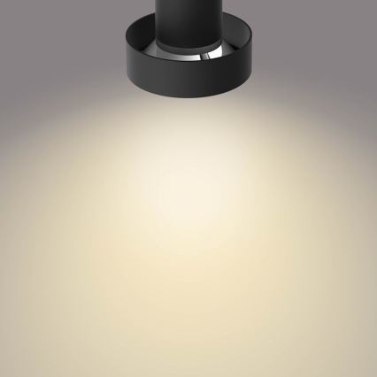 Philips 50601/30/P0 - Точковий LED світильник BUKKO LED/4,5W/230V